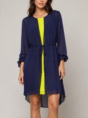 Isani Tie Waist Sheer Dress